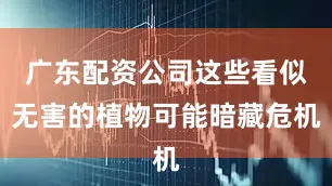 广东配资公司这些看似无害的植物可能暗藏危机