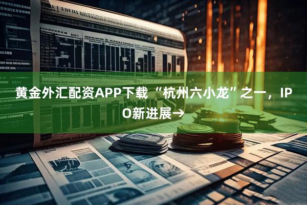 黄金外汇配资APP下载 “杭州六小龙”之一，IPO新进展→